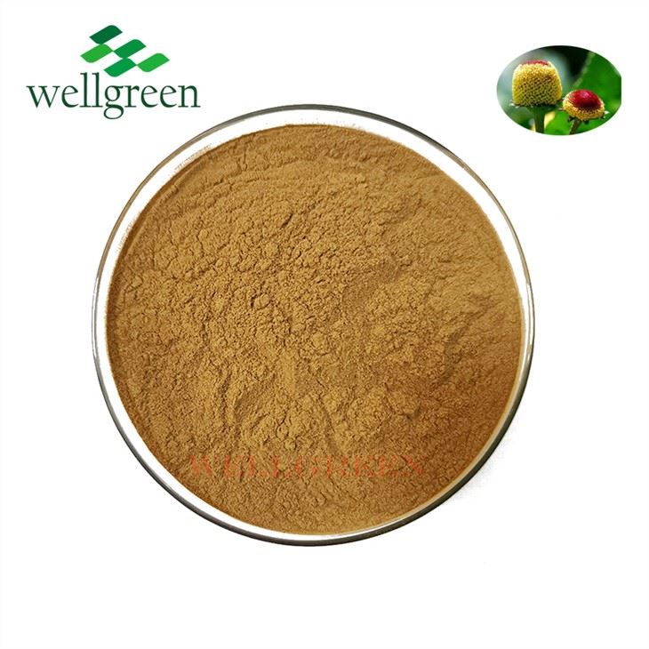 Acmella Oleracea ekstrakt pulver