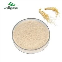 Ginseng pulver ekstrakt