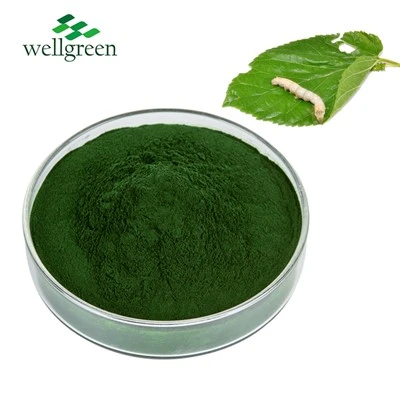 Natrium Kobber Chlorophyllin Pulver 15%